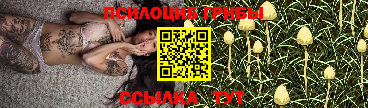 Галлюциногенные грибы Psilocybe  Вход с VPN  Ишимбай 